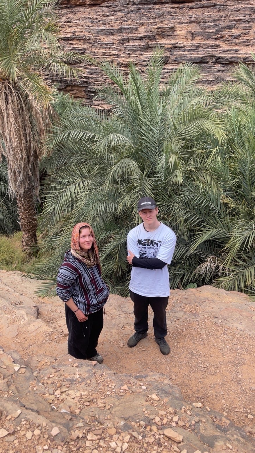 Date palms near Atar in the Adrar region of Mauritania