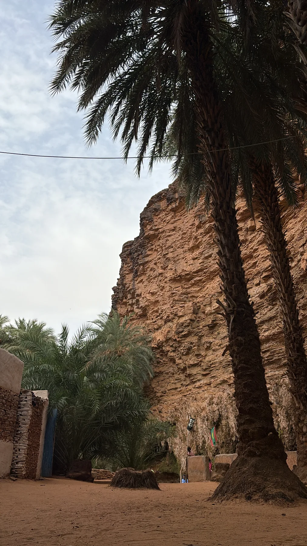 Palm trees and canyon walls of Terjit Oasis in the Adrar region of Mauritania