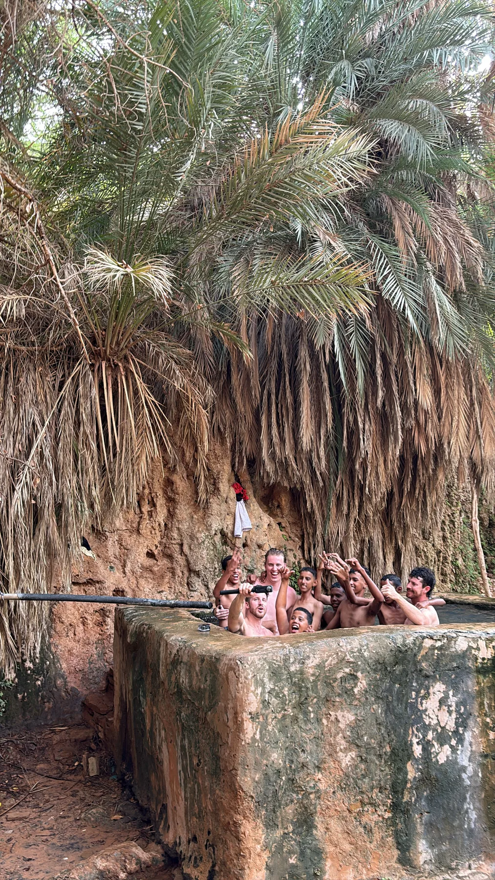 Terjit Oasis